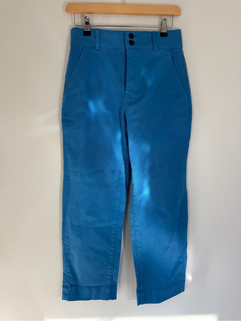 Everlane Teal-Blue Straight Leg Chinos